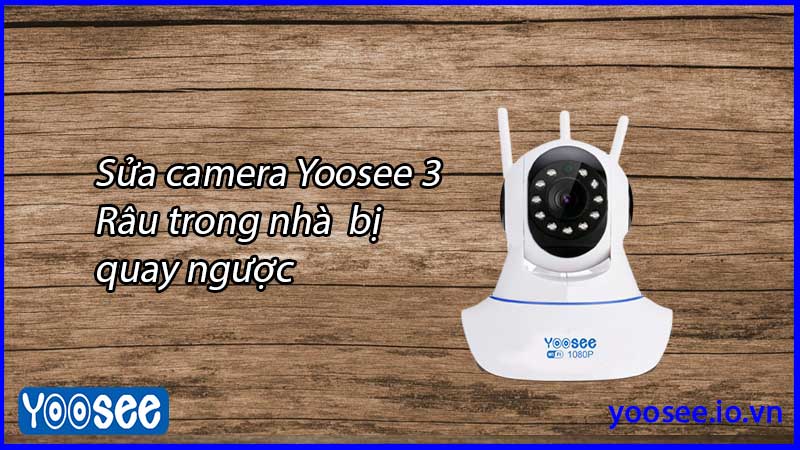 sua-camera-yoosee-3-rau-trong-nha-bi-quay-nguoc