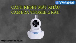 cach-reset-mat-khau-camera-yoosee-2-rau-1